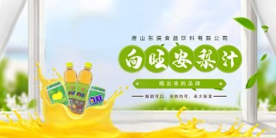 唐山东辰食品饮料有限公司