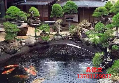 保定鑫德龙水族科技有限公司