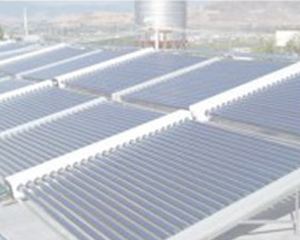 天天顺新能源有限公司