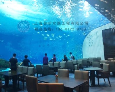 赢得广阔的市场