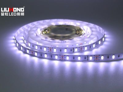 中山市留虹照明科技有限公司