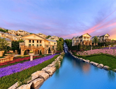 山东利雷德扬文化交流有限公司