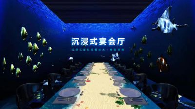 深圳市元创视觉科技有限公司