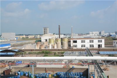 湖北巨成医药科技有限公司