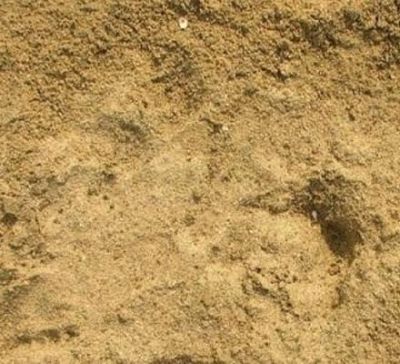 大足泰丰采砂厂