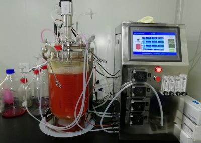 益阳市资阳区保鑫生物科技有限公司
