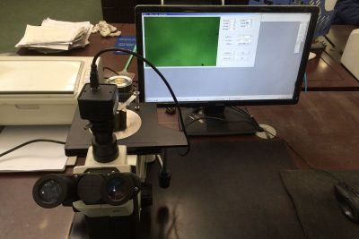 河南省西博车桥有限公司
