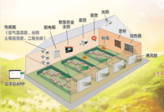 北京视动世纪科技有限公司