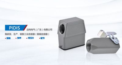 品电电气（广东）有限公司