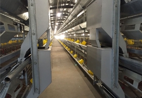 东台市许河镇古月孵禽场