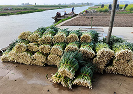 兴化市味明食品有限公司