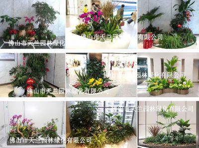 佛山市天兰园林绿化有限公司