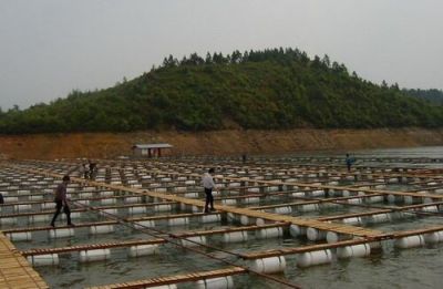 威海银球渔具有限公司