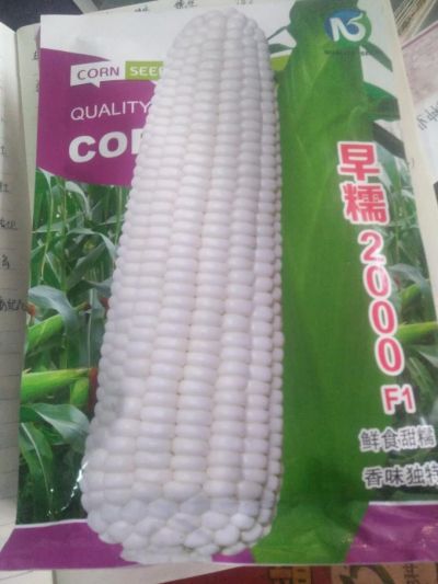 保定市金穗农业科技有限公司