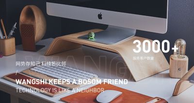 沈阳网势科技有限公司