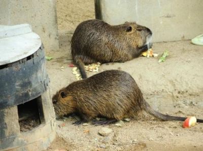 长沙奥力克威环保科技有限公司