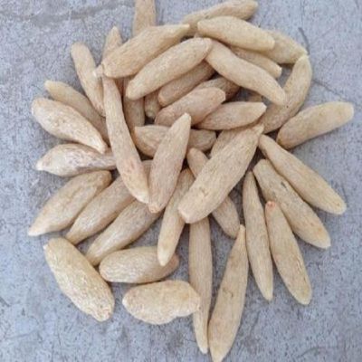 四川圣哲中药材有限公司