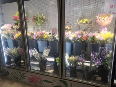 福州鑫佳安制冷设备有限公司