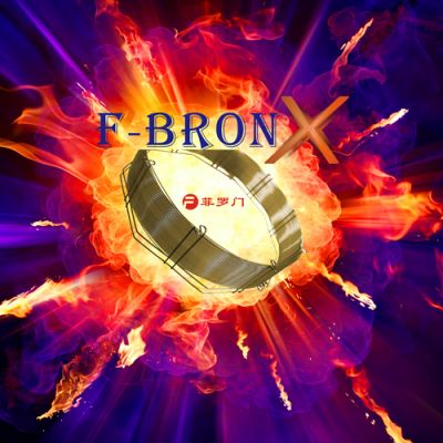 广州菲罗门科学仪器有限公司