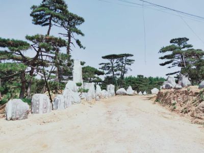 莱芜诚祥苗木种植专业合作社