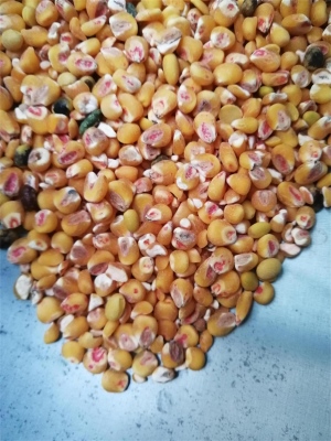 曹县鲁曹高新机械制造有限公司