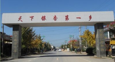 郯城县绿萌苗木园艺场