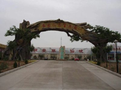 单县忆古园林景观厂