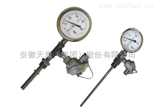 安徽天康（集团）股份有限公司