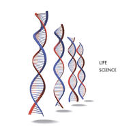 上海怡淼化学科技有限公司