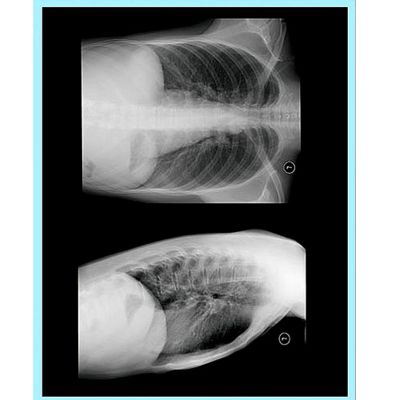 南阳康迪医疗器械有限公司