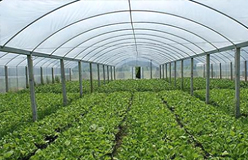 淄博春光塑料制品有限公司