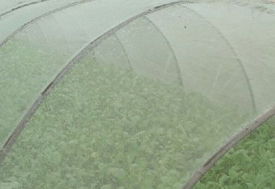 河北丰合纺织有限公司