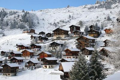 威海新艺园林景观工程有限公司