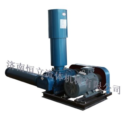 济南恒立罗茨风机机械有限公司