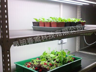 昆明春威科技有限公司