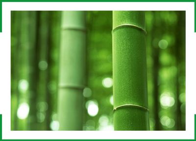 安吉县德武竹木制品厂