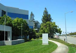 懿妮草坪园艺场