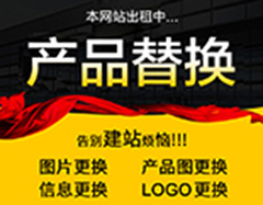瑞安机械有限公司