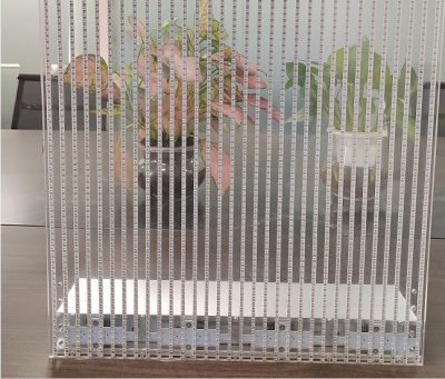 深圳市彩尼斯光电科技有限公司