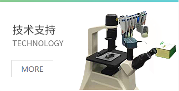 上海通蔚实业有限公司