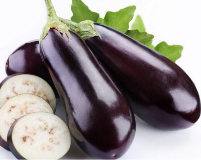 学校部队医院工厂