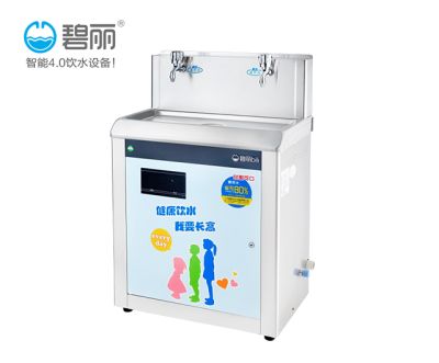 广东碧丽饮水设备有限公司