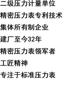 西安市高精密仪表厂