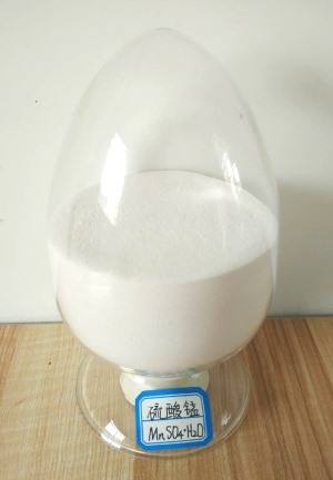 连云港龙泰威食品配料有限公司