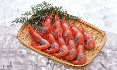 东莞市博泰制冷科技有限公司