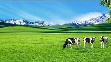 深圳市创业宏电子商务有限公司