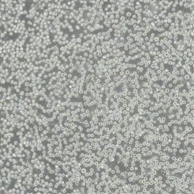 武汉普诺赛生命科技有限公司