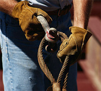 煤炭科学技术研究院有限公司