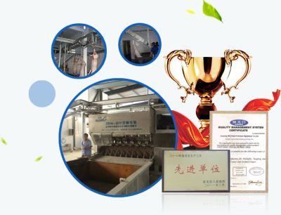 洛阳市中南输送设备有限公司