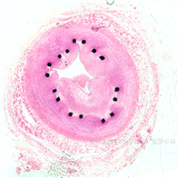 毓秀生物科技（上海）有限公司